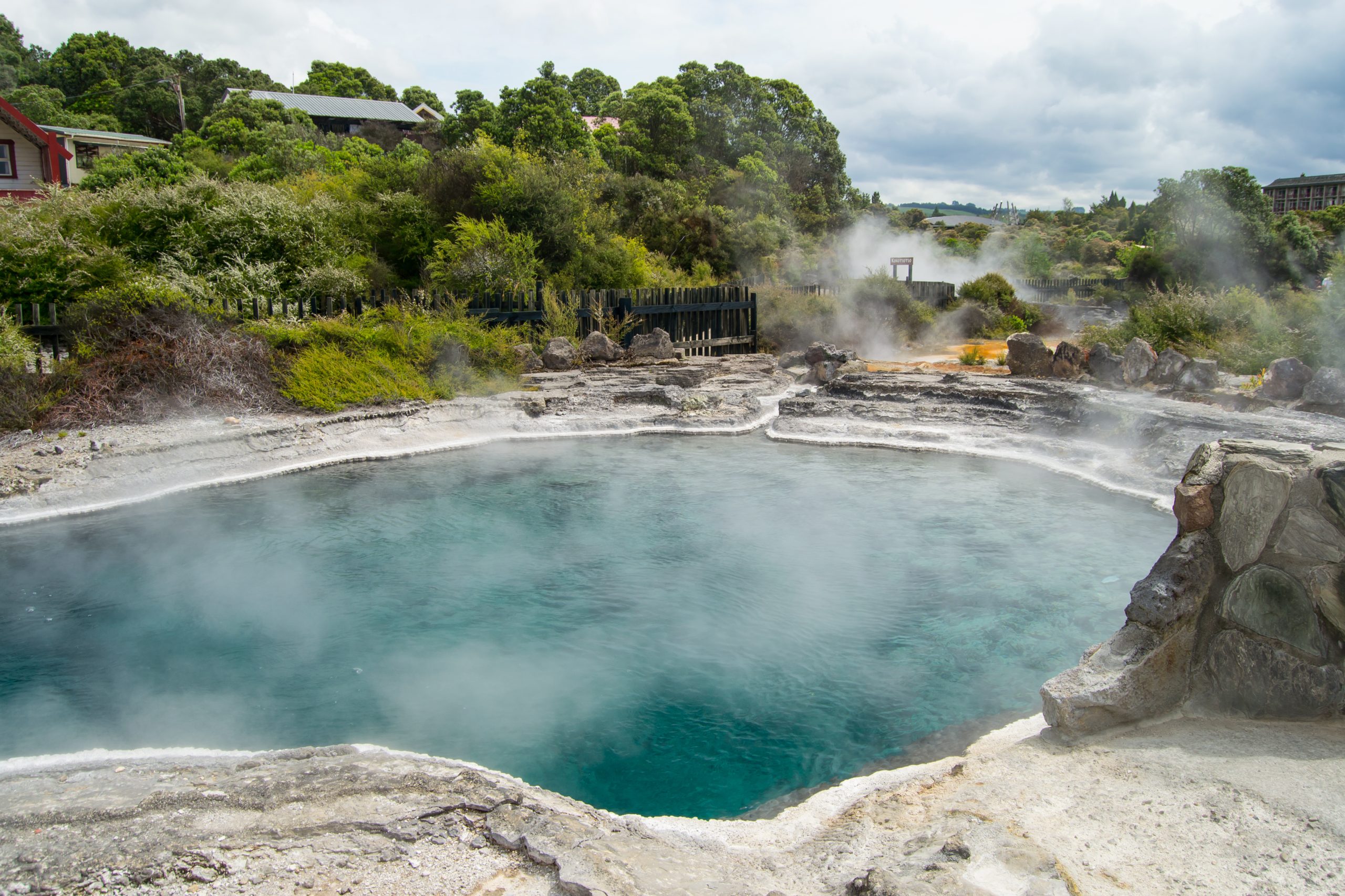 beautiful view of the te puia geyser in rotorua, new zealand